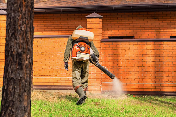 Trusted Mosquito Control service in Chicago Ridge, IL - Nex Pest Control
